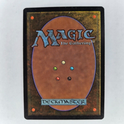 SIGNED SCROLL RACK TEMPEST HEATHER HUDSON LP MTG - Image 4