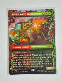 Raph & Mikey, Troublemakers (Showcase) Teenage Mutant Ninja Turtles Regular - Image 1