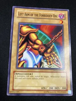 Left Arm Of The Forbidden One - DLG1-EN021 - Unlimited - LP - Image 1