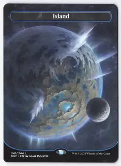 Island () (Borderless) Normal L Unfinity 241 NM - Image 1