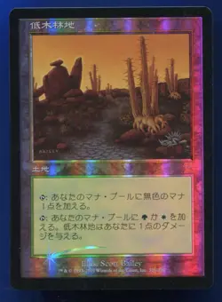 Brushland Foil Japanese 7th Edition SP/LP MTG magic #5140 - Image 1