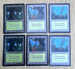 Magic The Gathering Beta Basic Land Forest Variant A B C 2 Sets 6 Total Cards - Image 1