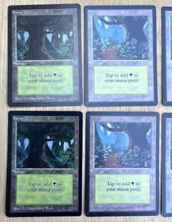 Magic The Gathering Beta Basic Land Forest Variant A B C 2 Sets 6 Total Cards - Image 2