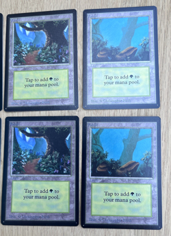 Magic The Gathering Beta Basic Land Forest Variant A B C 2 Sets 6 Total Cards - Image 3
