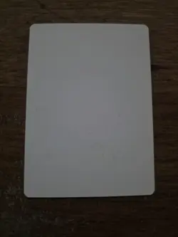 Bull Aurochs Artist Proof SIGNED By Kev Walker Mtg Magic The Gathering - Image 2