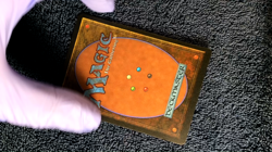 FLORAL SPUZZEM uncommon 1994 LEGENDS Magic the Gathering Unplayed Near mint - Image 2