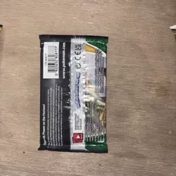 Pokemon TCG Evolving Skies Booster Pack Heavy - Image 2
