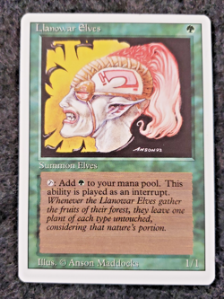 Llanowar Elves MTG - 3rd Edition - Revised - No Play NM ..............(DS3D1K6) - Image 1