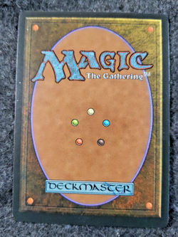 Llanowar Elves MTG - 3rd Edition - Revised - No Play NM ..............(DS3D1K6) - Image 2