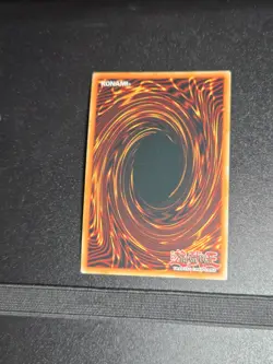 Droll & Lock Bird MAGO-EN006 Gold Rare 1st Edition YuGiOh Card - Image 2