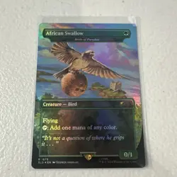 MTG birds Of Paradise African Swallow European NM Monty Python Secret Lair - Image 1