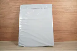 Dysfunctional Passholder Mewtwo Charizard Pokenot Binder + Holo Card - Image 2