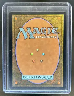 2007 Magic MTG Lorwyn Thousand-Year Elixir #263 - Image 2