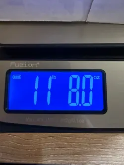 Bulk Lot Magic the Gathering Cards - Foundations - Image 2