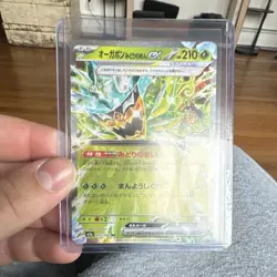 The Pokemon Company Teal Mask Ogerpon EX Sv6 Double Rare Holo Japanese 016/101 - Image 1