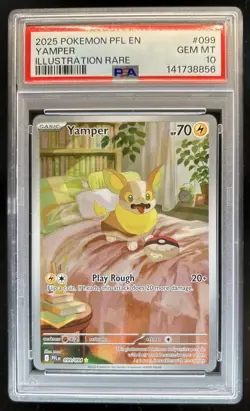 2025 Pokemon Phantasmal Flames Yamper Illustration Rare #099/094 PSA 10 GEM MINT - Image 1