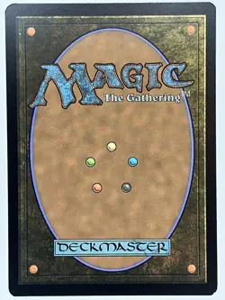 Sacred Foundry LP Borderless Unfinity MTG Foil - Image 2