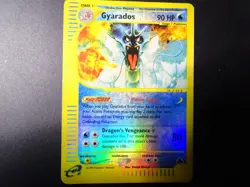 Pokemon Gyarados TCG Card 11/144 Skyridge Reverse Holo 2003 - Image 1