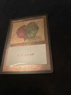 Gruul Signet (Foil Etched) Secret Lair Drop Foil Retro Frame - Image 4