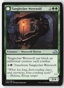 MTG - Tangleclaw Werewolf // Fibrous Entangler #174 - Regular - EMN Eldritch Moo - Image 1
