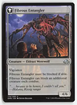 MTG - Tangleclaw Werewolf // Fibrous Entangler #174 - Regular - EMN Eldritch Moo - Image 2