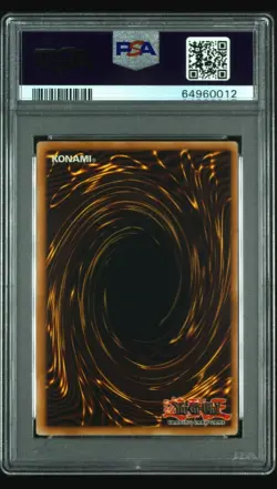 2003 Yugioh Dark Paladin * DMG-001 Secret Rare Promo * PSA 10 GEM MINT - Image 3