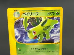 [No Import Duty (US)] Quilava Croconaw Bayleef Trainers Magazine Promo Card JP - Image 4
