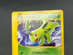 [No Import Duty (US)] Quilava Croconaw Bayleef Trainers Magazine Promo Card JP - Image 5