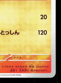 Rapidash 002/053 Koraidon ex Starter Set NM Japanese Pokemon Card TCG - Image 5