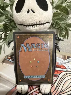 Rhys, The Evermore Extended Art MTG Lorwyn Eclipsed - NM - Image 2