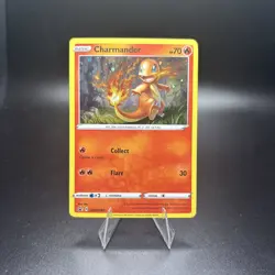 Charmander - Promo SWSH: Sword & Shield Promo Cards SWSH092 NM - Image 1