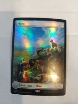 Plains (1513) Secret Lair Drop Foil - Image 1