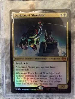 Dark Leo & Shredder Teenage Mutant Ninja Turtles Foil - Image 1