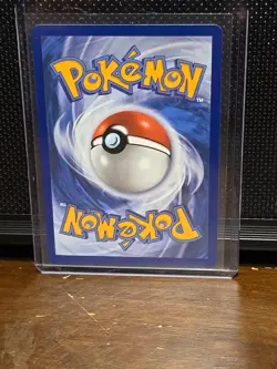 Pokemon First Partner Illustration Collection Turtwig Chimchar Piplup Promo - Image 5