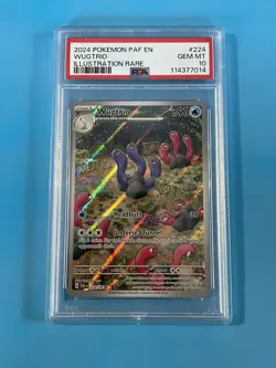 🚨 2024 Pokemon Paf EN-Paldean Fates Wugtrio #224/091 Illustration Rare PSA 10 - Image 3
