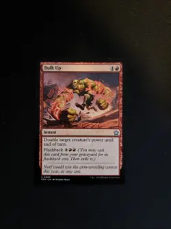 Bulk Up Foundations Regular - Image 1