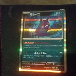 Morpeko 098/187 - Holo - Japanese Terestal Festival - Pokemon TCG - NM - Image 1