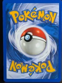 CHIKORITA 53/111 2000 NEO GENESIS SET POKEMON CARD 1st EDITION - Image 2