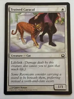 MTG Return to Ravnica Trained Caracal 27/274 NM - Image 1