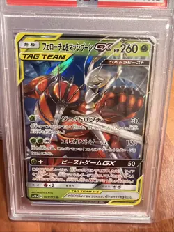 2019 Pokemon PHEROMOSA & BUZZWOLE GX 001/173 RR [Tag Team SM12a] Japanese PSA 10 - Image 2