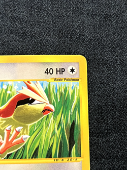 Pokemon TCG Pidgey 123/165 Expedition Base Set Regular Near Mint - Image 4