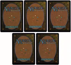 MTG Outlaws of Thunder Junction Set of Full Art Lands (Common) - Image 2