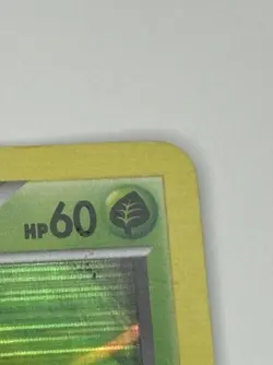 Snivy 2011 Black And White Empty Pokemon Tin + Promo Holo Card - Image 3