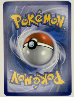 Snivy 2011 Black And White Empty Pokemon Tin + Promo Holo Card - Image 4