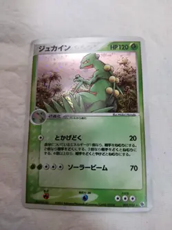 [NM-] Sceptile 003/055 Holo Ruby & Sapphire Japanese Pokemon Card 7014 - Image 1