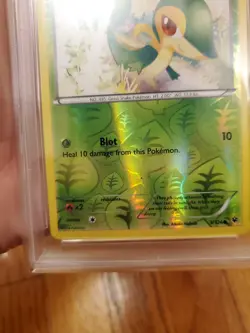 2016 Pokemon Snivy Xy Reverse Foil Psa 7 UNDERGRADED! Fates Collide #5 - Image 4