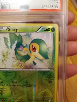 2016 Pokemon Snivy Xy Reverse Foil Psa 7 UNDERGRADED! Fates Collide #5 - Image 5
