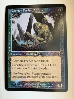 Carrion Feeder Scourge Foil Magic: The Gathering - Image 1