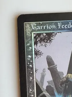 Carrion Feeder Scourge Foil Magic: The Gathering - Image 5