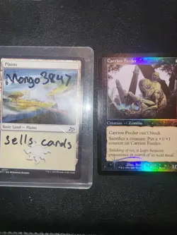 MTG Carrion Feeder FOIL Scourge Black Common - Image 3